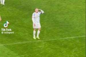 哈式敬礼哈兰德庆祝时披头散发冲看台敬礼+恶狠狠点头