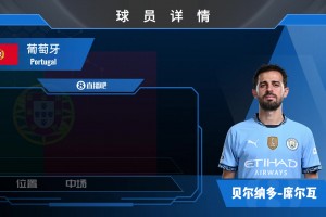 B席球星集锦：葡萄牙国家队常客！中前场万金油的金左脚